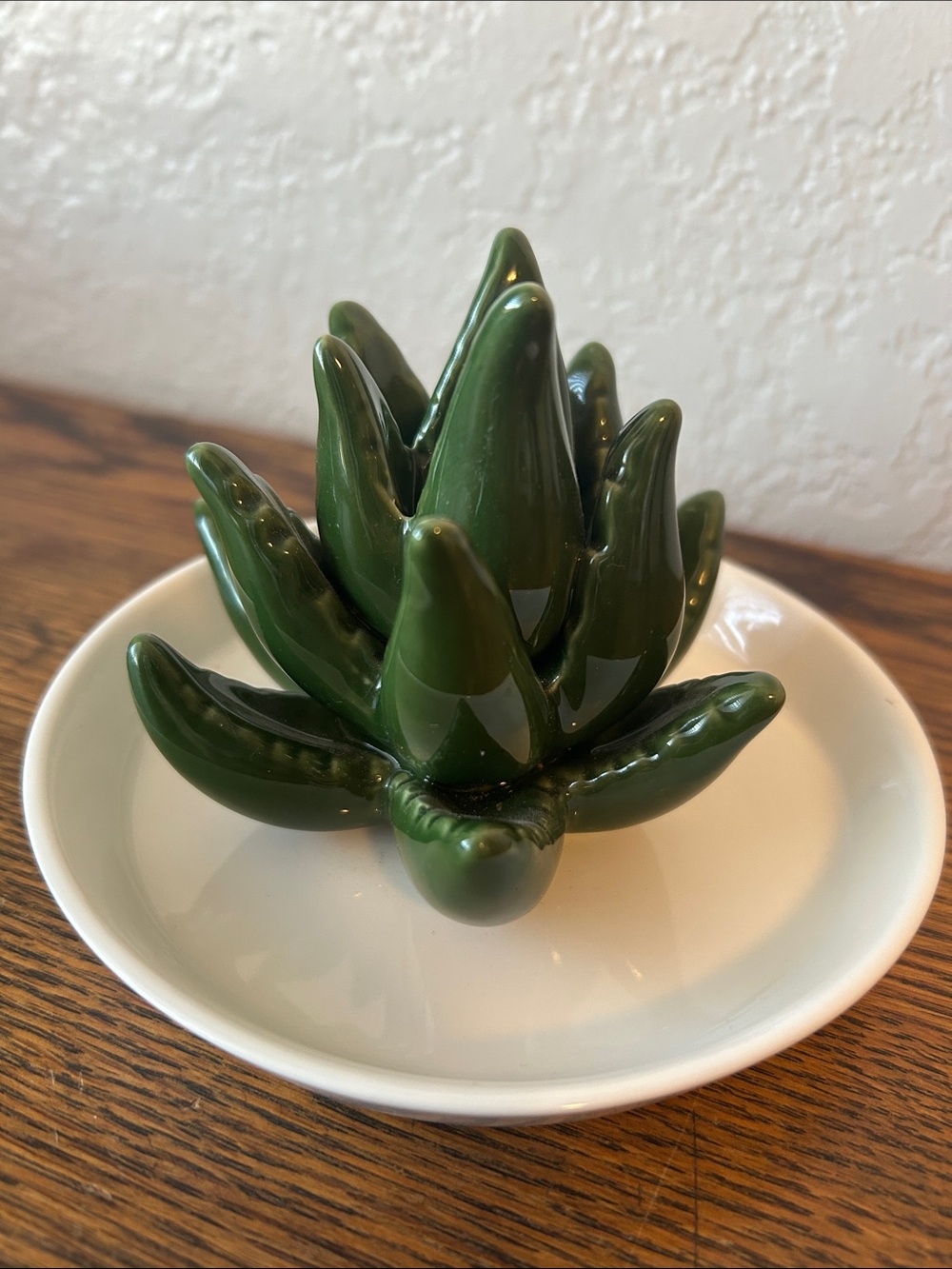 Green Ceramic Succulent Decorative Accent